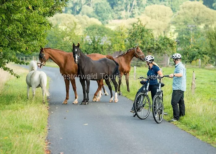 Casita - Sterneferienhaus Mit Garten, Sauna Und Wallbox